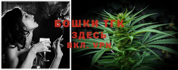 эйфоретик Богданович