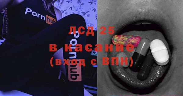 МДПВ Бородино
