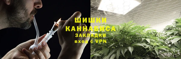 твердый Богородицк