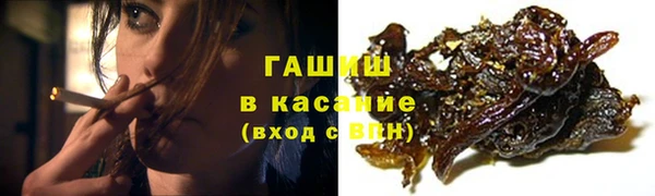 эйфоретик Богданович