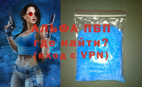 эйфоретик Богданович